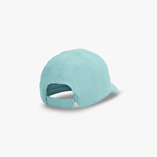 BLUE TINT