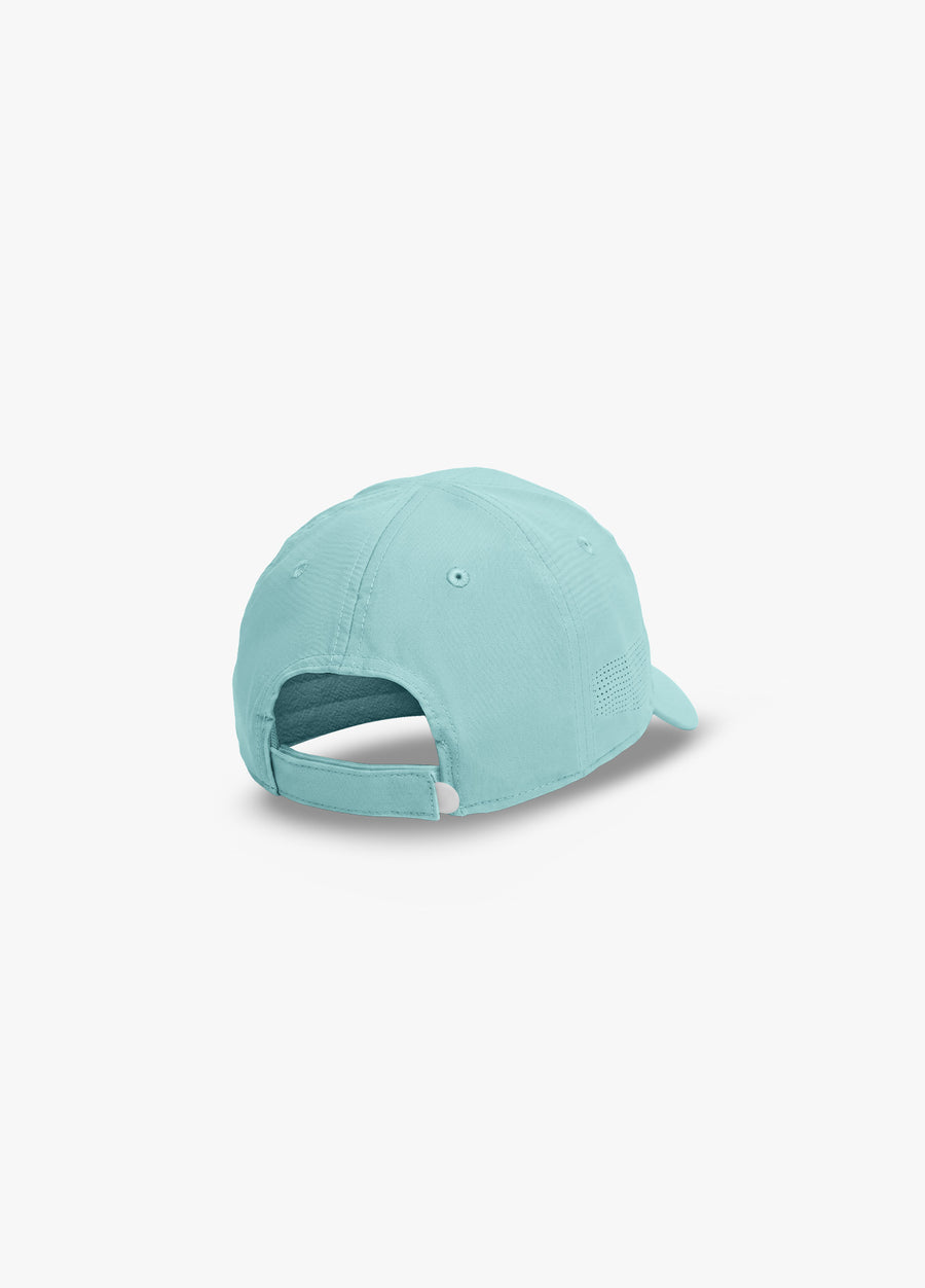 BLUE TINT