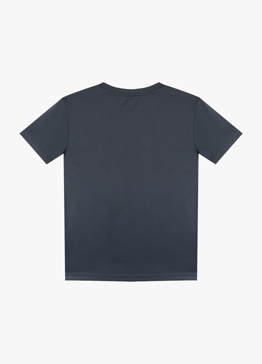 ODYSSEY GRAY